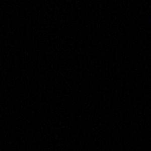 Meet your Posher, Ingrid